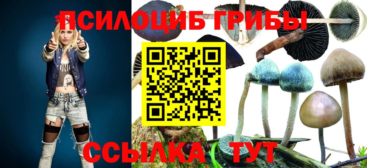 Псилоцибиновые грибы мицелий  хочу   Губкинский  Вход с VPN 