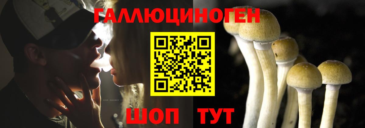 Галлюциногенные грибы мухоморы Губкинский